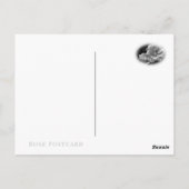 Rosa Iceberg ポストカード (裏面)