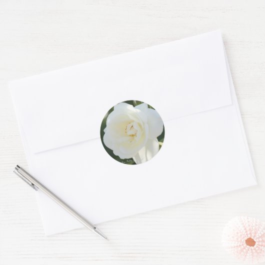 Rosa Iceberg ラウンドシール (封筒)