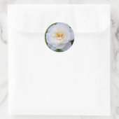 Rosa Iceberg [Round Seal] ラウンドシール (バッグ)