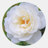 Rosa Iceberg [Round Seal] ラウンドシール (正面)