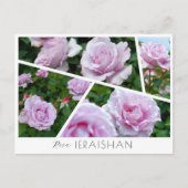 Rosa Ieraishan ポストカード (正面)