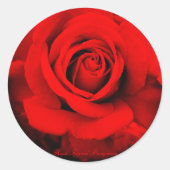 Rosa Ingrid Bergman:Round Seal ラウンドシール (正面)