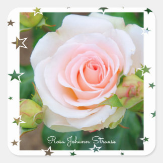 Rosa Johann Strauss [Square Seal] スクエアシール