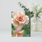 Rosa Julia [Postcard] ポストカード (スタンド正面)
