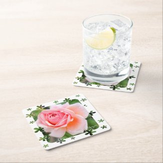 Rosa 'Kaorikazari'  [Paper Coaster] スクエアペーパーコースター