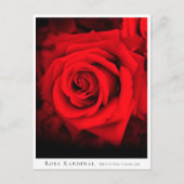 Rosa Kardinal ポストカード (正面)