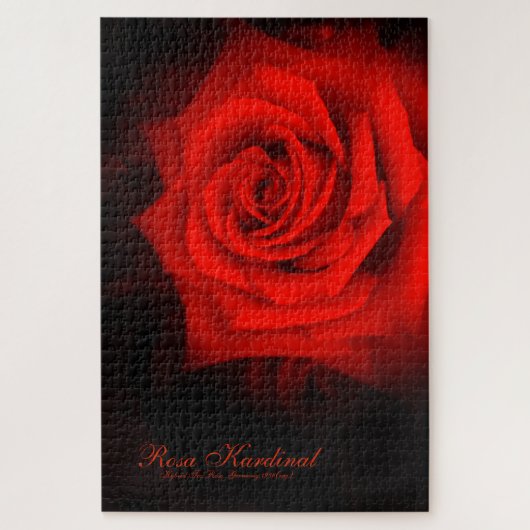 Rosa Kardinal [Jigsaw puzzle(1014 piece)] ジグソーパズル (縦)