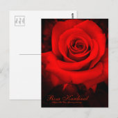Rosa Kardinal [Postcard] ポストカード (正面/裏面)