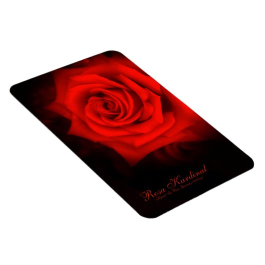 Rosa Karhealth [Flex Photo Magnet] マグネット (右側)