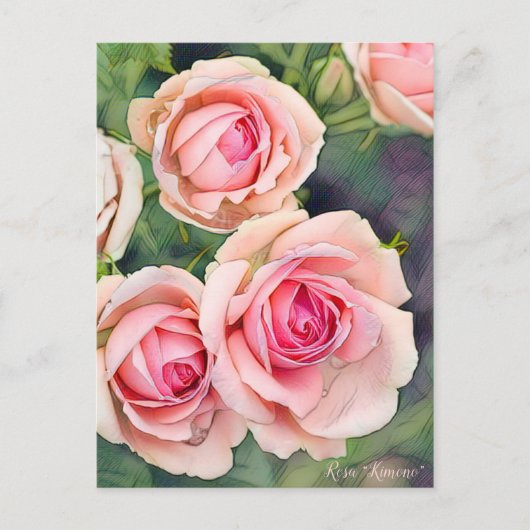 Rosa“Kimono” [Postcard] ポストカード (正面)