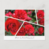 Rosa Lavaglut ポストカード (正面)