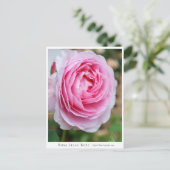 Rosa Lilac Rose ポストカード (スタンド正面)