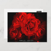 Rosa Lilli Marleen：ポストカード ポストカード (正面/裏面)