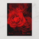 Rosa Lilli Marleen：Postcard ポストカード (正面)