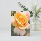 Rosa ‘Manyo' ポストカード (スタンド正面)