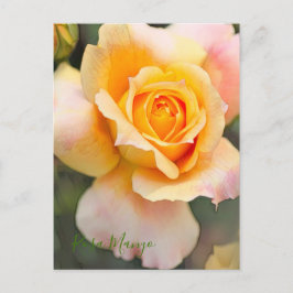 Rosa ‘Manyo' ポストカード