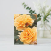 Rosa ‘Manyo’ ポストカード (スタンド正面)