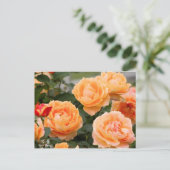 Rosa‘Manyo’(万葉):Postcard ポストカード (スタンド正面)