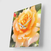 Rosa ‘Manyo’:Acrylic Wall Clock スクエア壁時計 (傾斜)