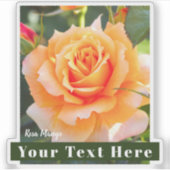 Rosa Manyo [Cut Seal] シール (正面)