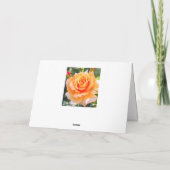 Rosa Manyo [Greeting Card] カード (裏面)