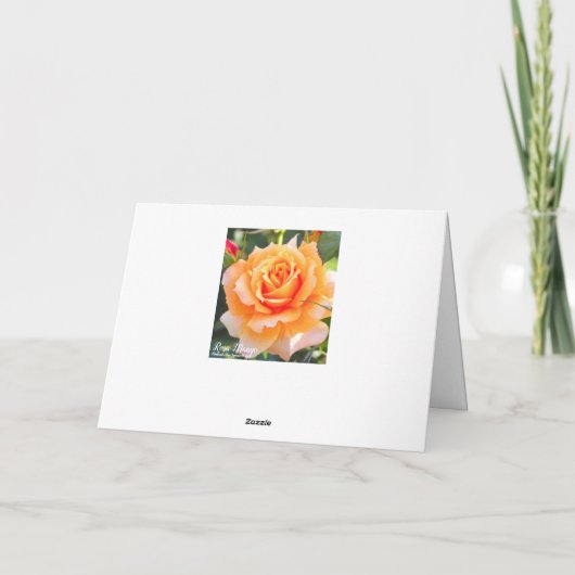 Rosa Manyo [Greeting Card] カード (裏面)
