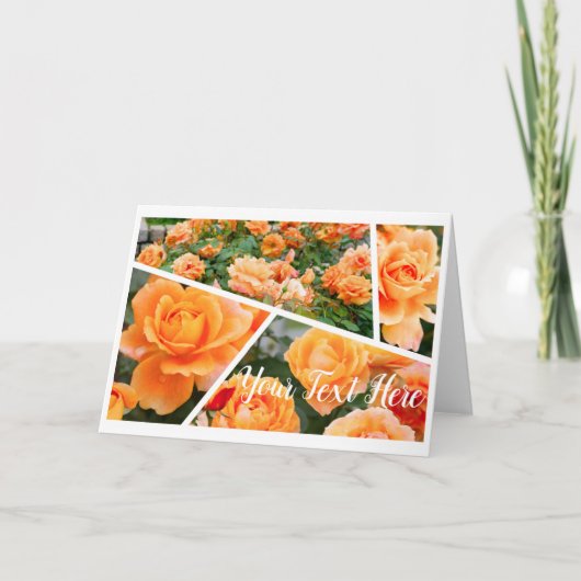 Rosa Manyo [Greeting Card] カード (正面)