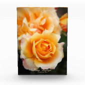 Rosa ‘Manyo’:Photo Block フォトブロック (正面)