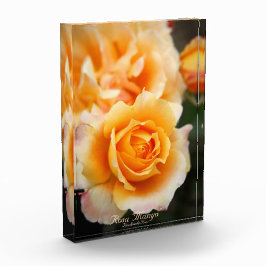 Rosa ‘Manyo’：Photo Block フォトブロック