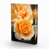 Rosa ‘Manyo’:Photo Block フォトブロック (右)