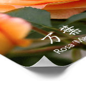 Rosa ‘Manyo’:Poster ポスター (角)