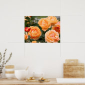 Rosa ‘Manyo’:Poster ポスター (キッチン)