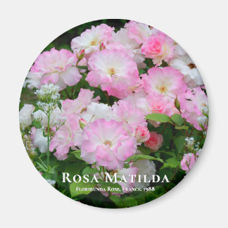 Rosa Matilda マグネット