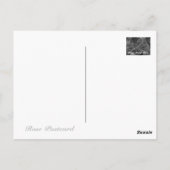 Rosa Mister Lincoln ポストカード (裏面)