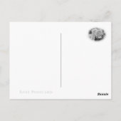 Rosa Mrs. Iris Clow ポストカード (裏面)