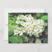 Rosa multiflora［Flat Card］ (正面)