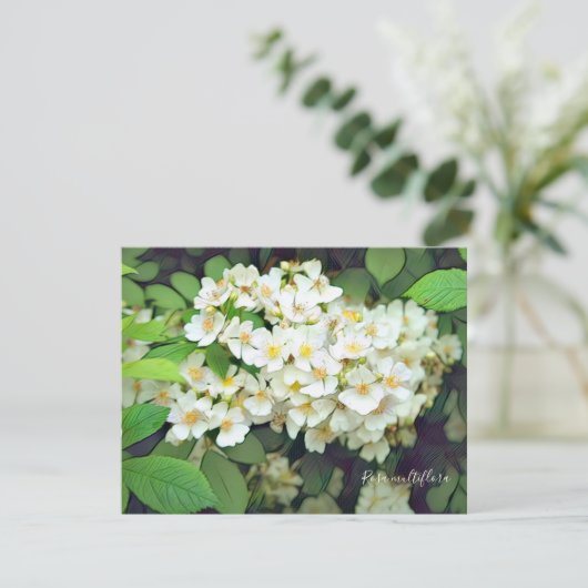 Rosa multiflora［Flat Card］ (スタンド正面)