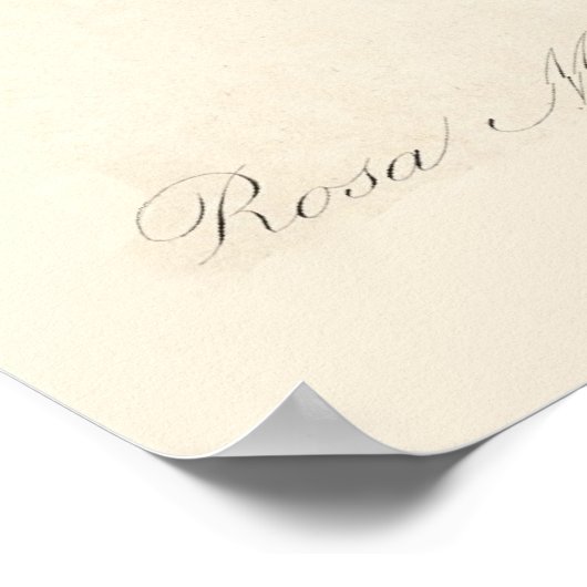 Rosa Muscosaポスター ポスター (角)