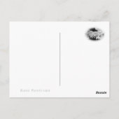 Rosa New Dawn ポストカード (裏面)