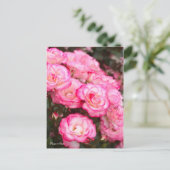 Rosa Nicole [Postcard] ポストカード (スタンド正面)