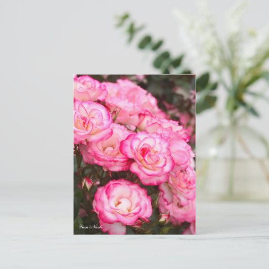 Rosa Nicole [Postcard] ポストカード (スタンド正面)