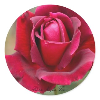 Rosa Night Time Classic Round Sticker