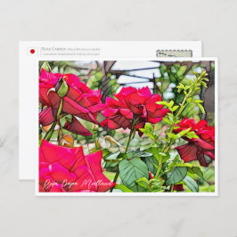 Rosa Papa Meilland ポストカード