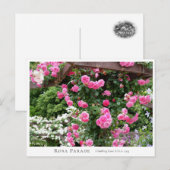 Rosa Parade ポストカード (正面/裏面)
