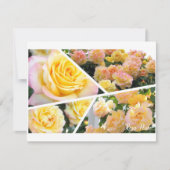 Rosa Peace [Flat Card] (正面)