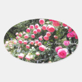 Rosa Pierre de Ronsard:Oval Seal 楕円形シール (正面)