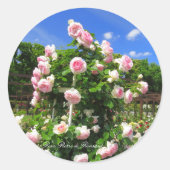 Rosa Pierre de Ronsard:Seal ラウンドシール (正面)
