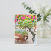 Rosa Playboy ポストカード (スタンド正面)