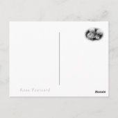Rosa Polaris α ポストカード (裏面)