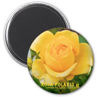 Rosa Polaris α [Round Magnet] マグネット